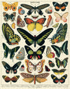 Cavallini 1000pc Puzzle - Butterflies