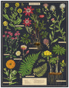 Cavallini 1000pc Puzzle - Herbarium
