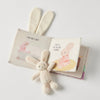 Jiggle & Giggle Goodnight Bunny Fabric Book & Bunny