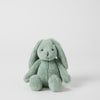 Jiggle & Giggle Green Bunny - Small