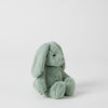 Jiggle & Giggle Green Bunny - Small