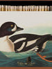 Archivist Match Boxes - Golden Eye Duck