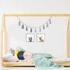 baby Blue Bunting